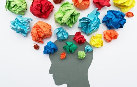 The Psychology of Color in Business