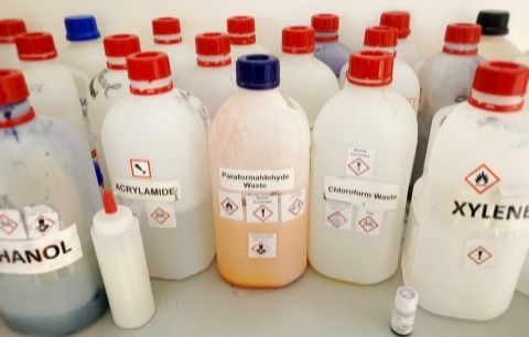 The Key Role of Labels in a Chemical Lab