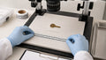 How Should You Use a Scale in Evidence Photography?